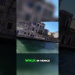 Venice Canals  A Maze of Rustic Charm
