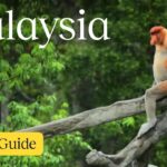 Malaysia Vacation Travel Guide | Expedia